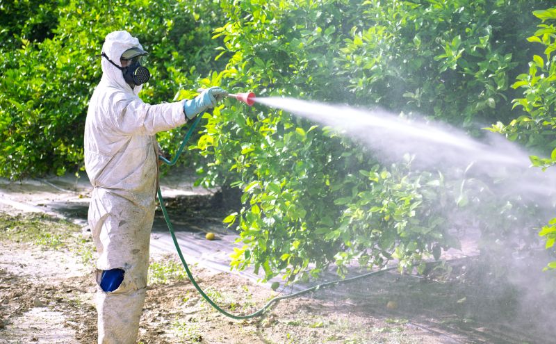 Pest Fumigation Service in Franklin, TN