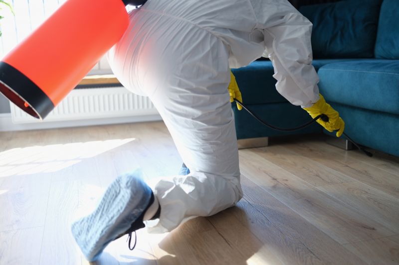 Rat Fumigation Service in Asheville, NC
