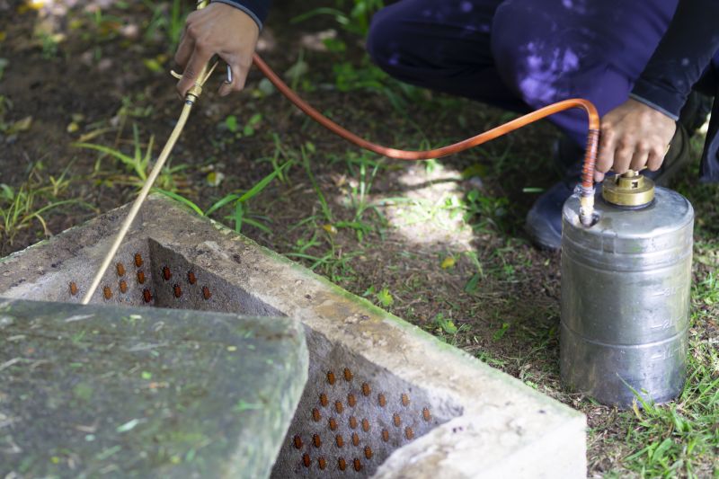Roach Fumigation in San Antonio, TX