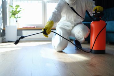 Trapdoor Spider Extermination in Rockwall, TX