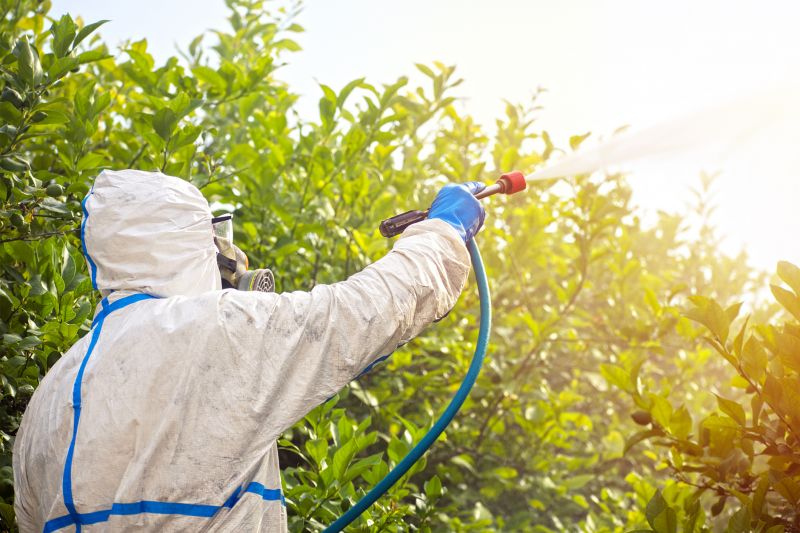 Commercial Fumigation in Cumming, GA