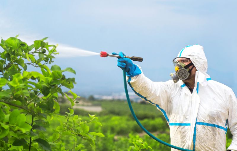 Fumigation Service in Lafayette, LA