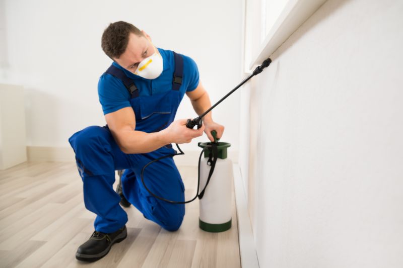 Mites Extermination in Katy, TX
