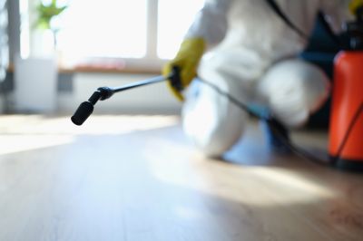 Pest Fumigation Service in Coeur D Alene, ID